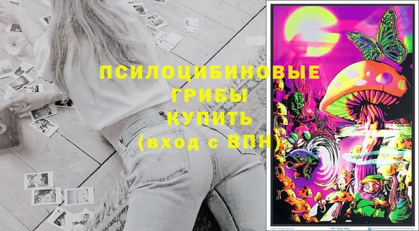 дурь Абаза