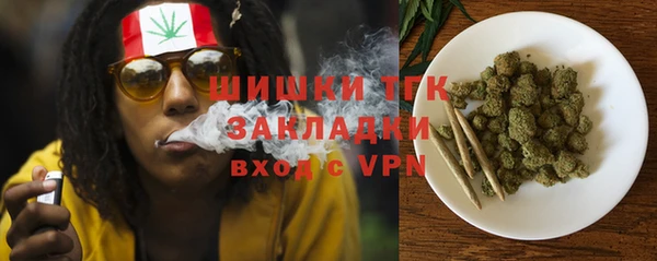 молекула духа Алзамай