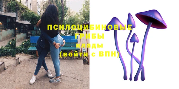 a pvp Абдулино