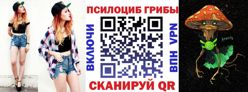 продажа наркотиков  Холм  Галлюциногенные грибы прущие грибы 